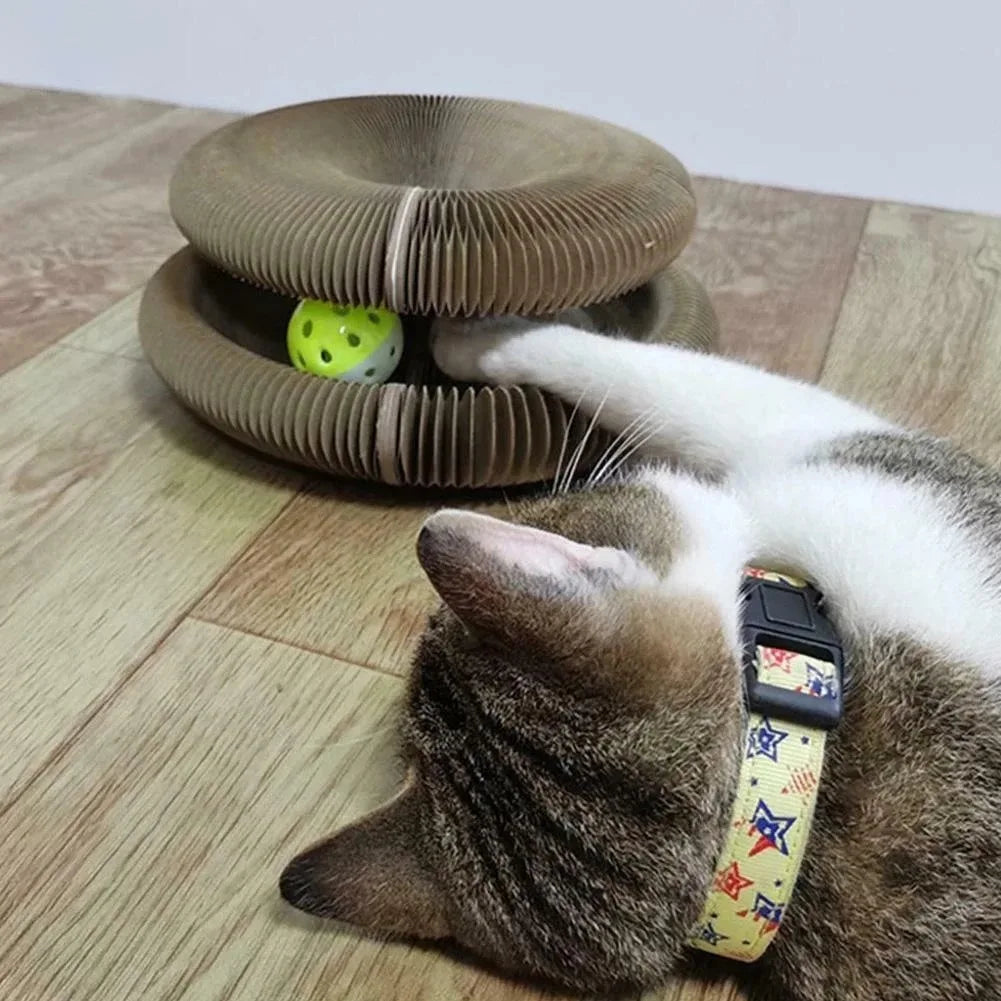 Gato atigrado tumbado junto al rascador plegable de cartón CalPaws con su pelota