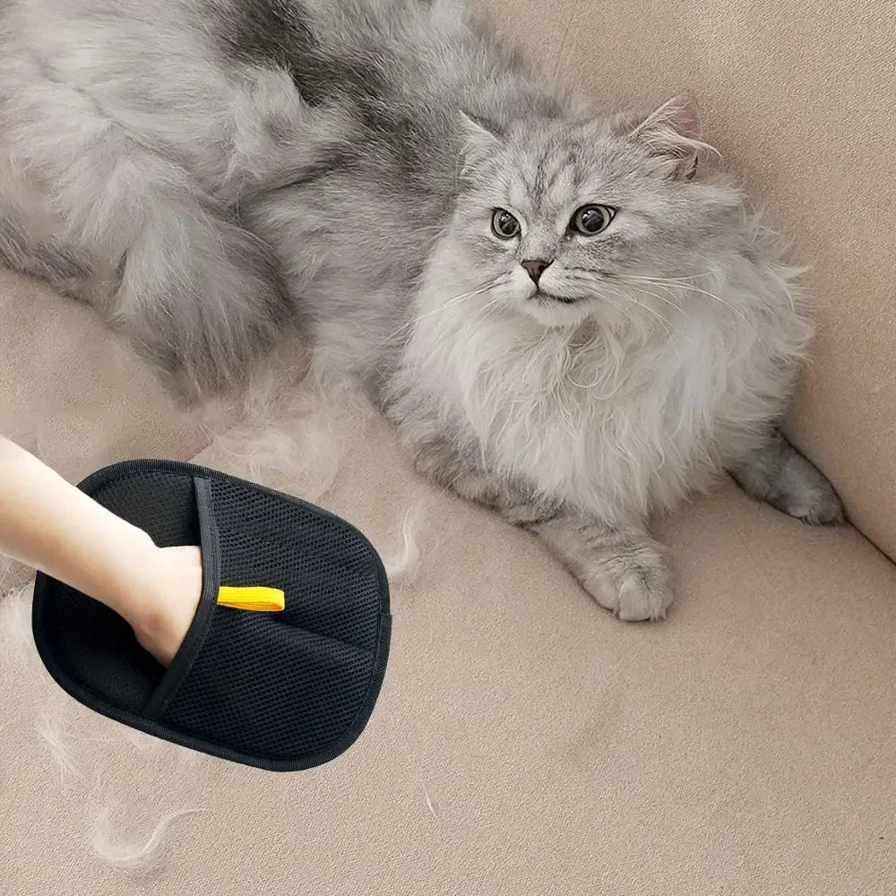 Guante deslanador retirando pelo suelto de un gato persa en el sofa