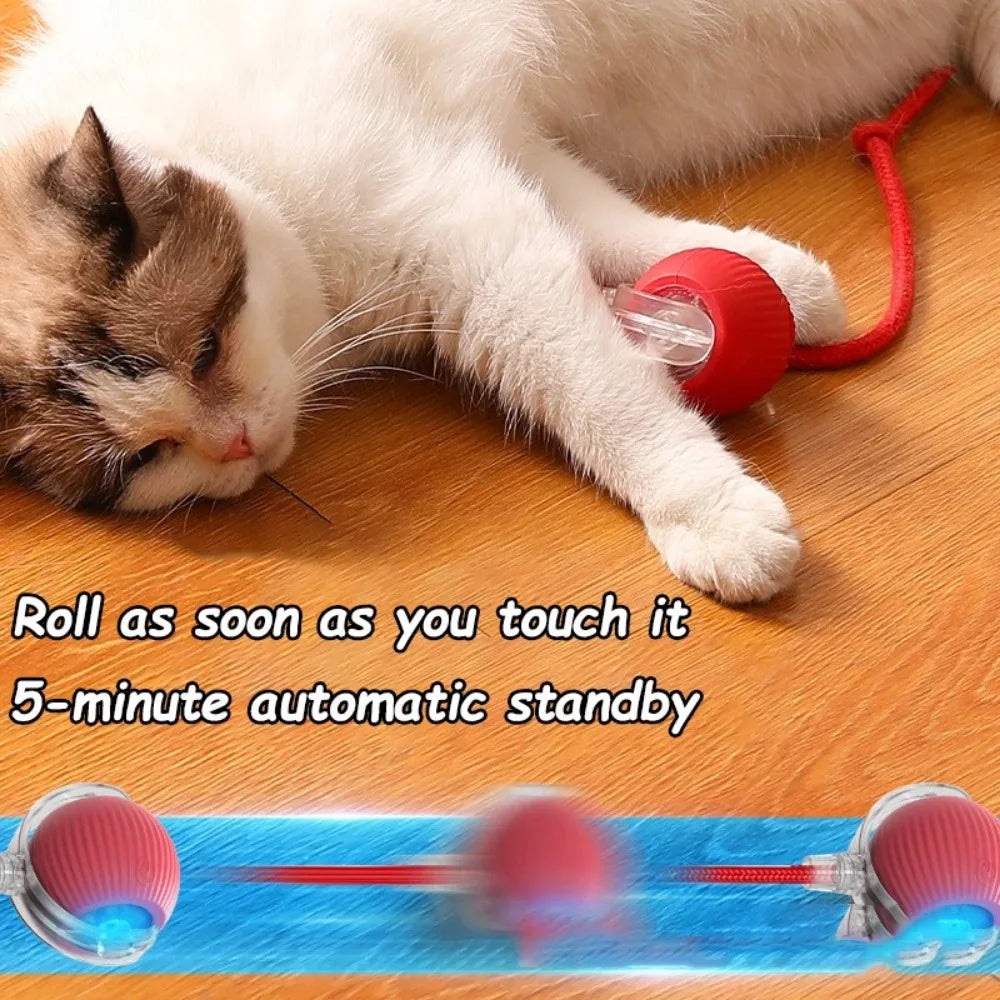 Pelota interactiva
